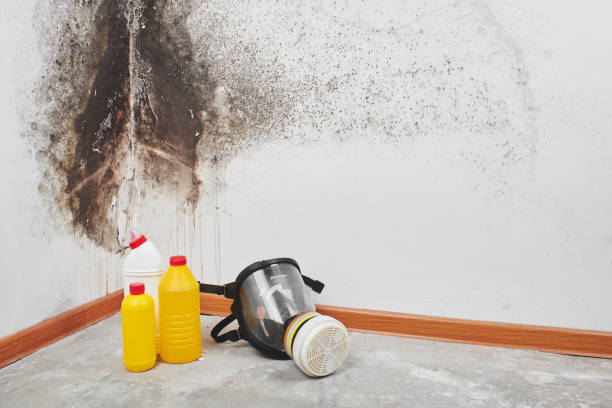 Crawl Space Mold Removal in Hartford, KY