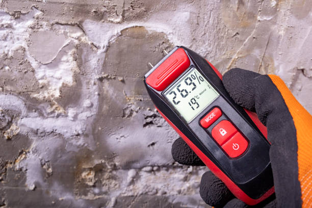 Professional Mold Removal in Hartford, KY