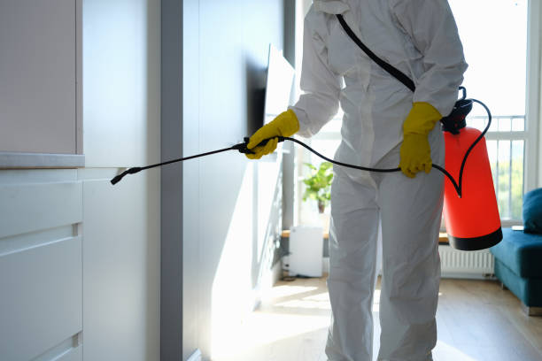 Best Local Mold Removal Service  in Hartford, KY